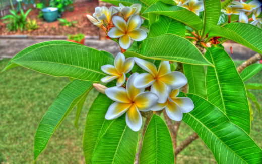 506573 (a): :2560x1600